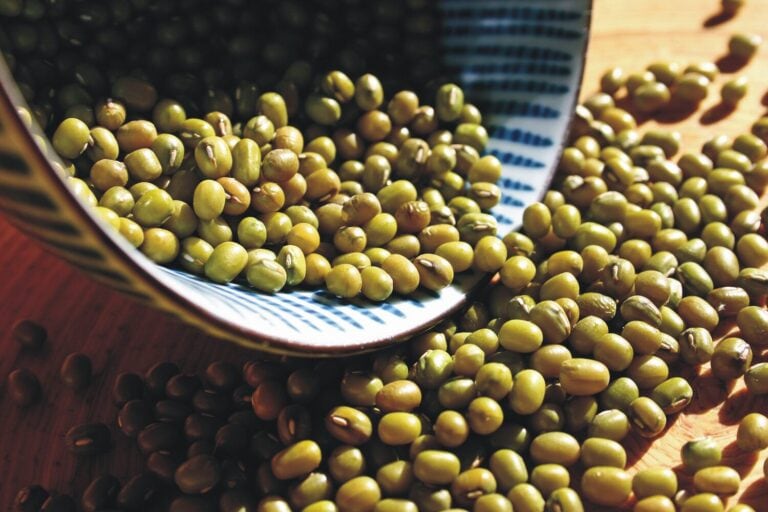 了解样品的复杂性。确定复杂食品样品中的基质效应