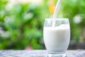versant du lait dans un verre à boire dans la nature, le matin au soleil