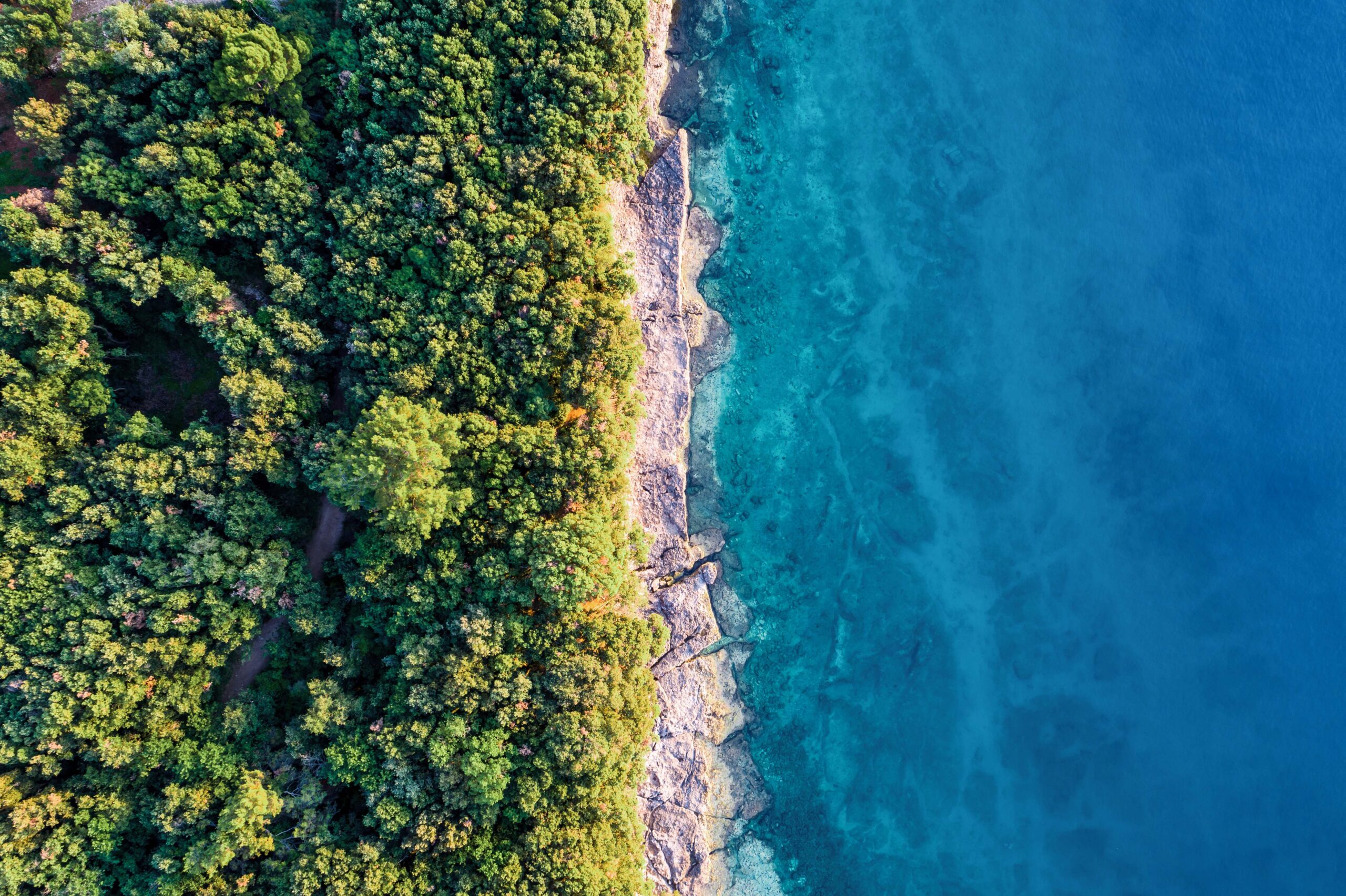 sustainability at Waters corporation