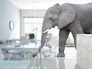 enorme paseo del elefante en la oficina moderna