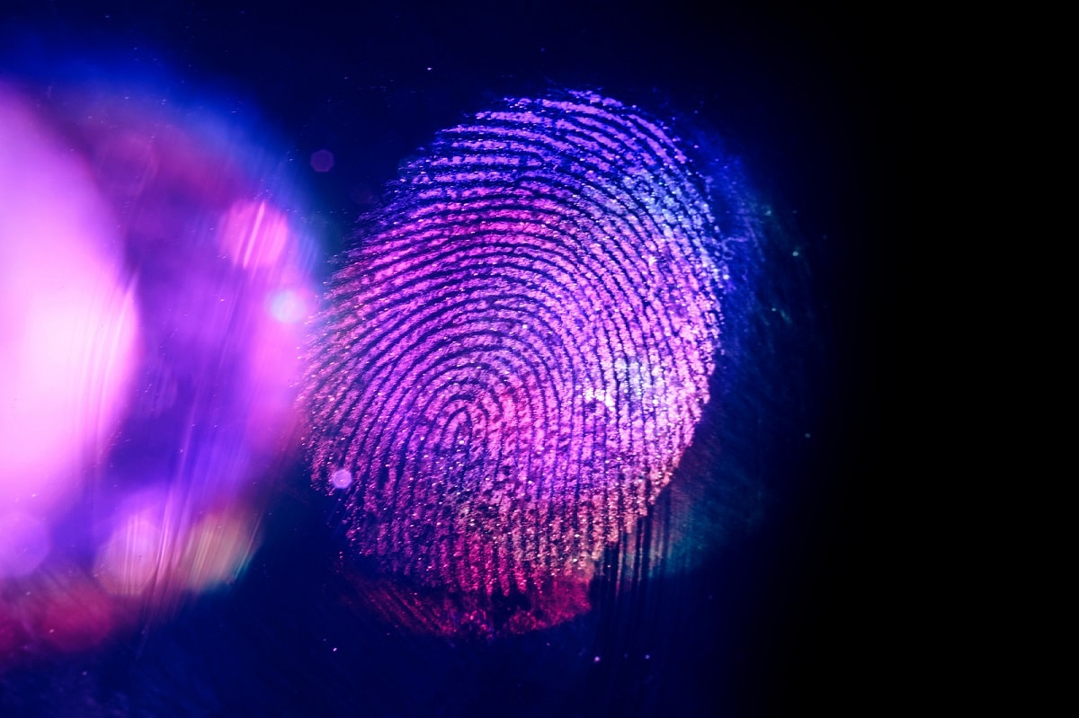 close up beautiful abstract violet, red colored fingerprint on background texture for design. macro photography view.