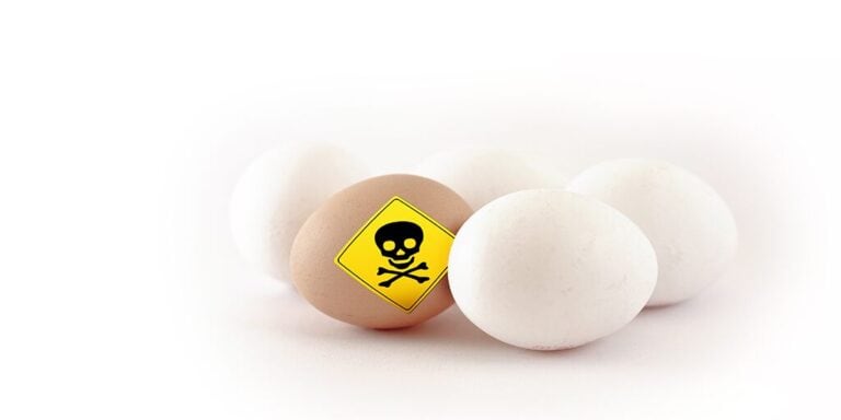 如何检测鸡蛋中的氟虫腈：给农药筛选实验室的提示