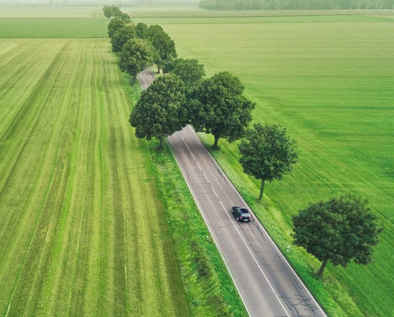car on road between lush green tree line and fields