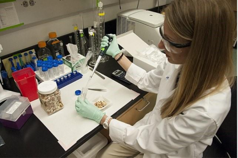 美国食品药品监督管理局食品安全与应用营养中心CFSAN 65408754867859