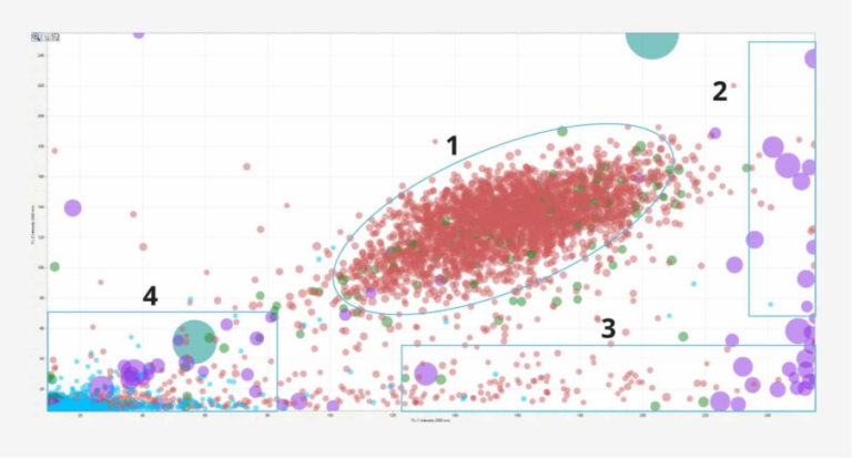 Identify cell doublets and triplets (1), cellular aggregates (2), protein aggregates (3), and plastic contaminants (4) in a cell therapeutic sample.