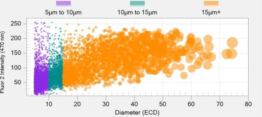 Gráfico que muestra la intensidad del Fluor 2 por diámetro (ECD). Revela el tamaño de las partículas y la distribución del recuento con BMI y FMM.