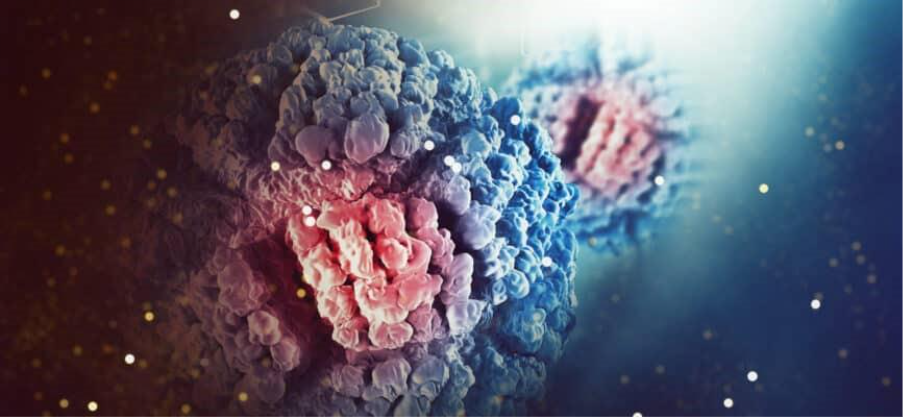 外泌体定量图像