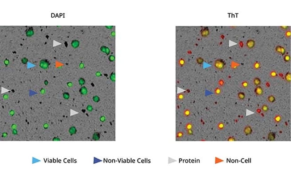 Identificación, recuento y tamaño de múltiples tipos de partículas.