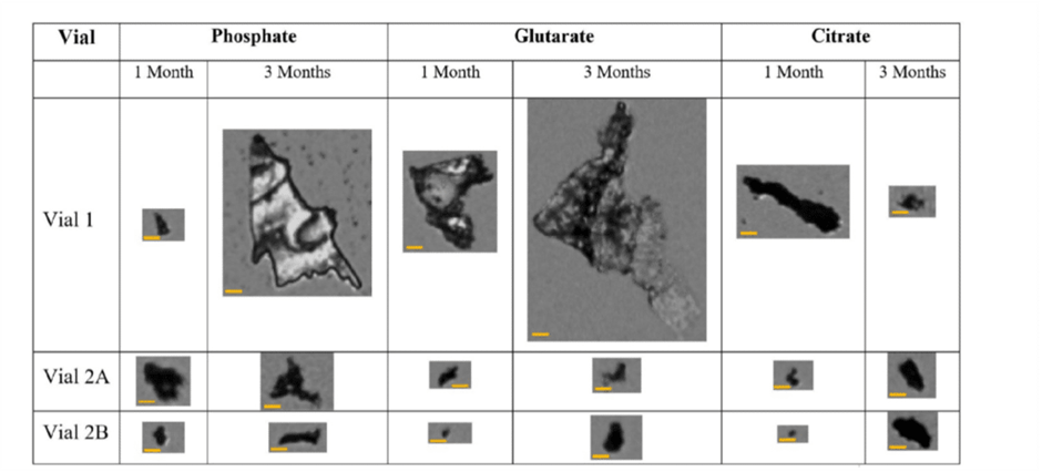 Figura 1. Morfología de SVGP detectada mediante el método BMI en los viales 1, 2A y 2B tras uno y tres meses a 60 °C con tres tampones diferentes. La barra de escala amarilla representa 10 µm.