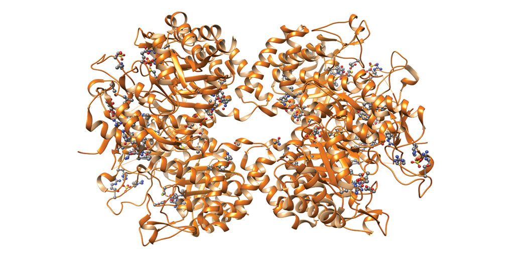 Biotherapeutic drugs such as monoclonal antibodies (mAbs) are heterogeneous.