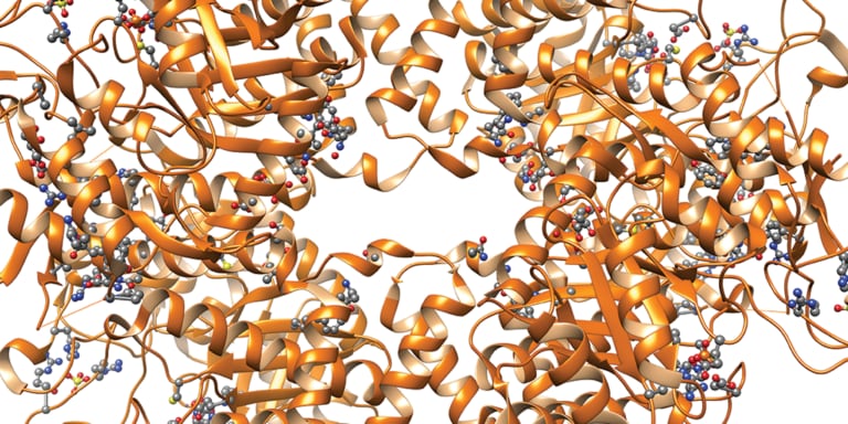 开发生物仿制药的分析工具。第2部分，肽的分析