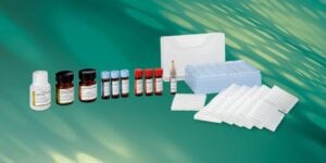 Kits de digestion eXpress de ProteinWorks 