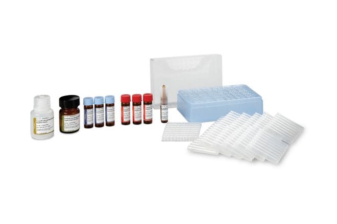 ProteinWorks eXpress Direct Digest Kit - CN