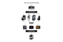Targeted Mass Spectrometry Imaging | DESI XS & XEVO TQ Absolute