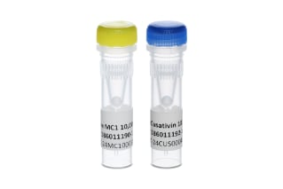 RapiZyme MC1 and RapiZyme Cusativin lyophilized enzyme -10,000 Unit vials.