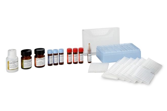 ProteinWorks eXpress Digest Kit