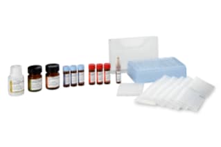 ProteinWorks eXpress Digest Kit