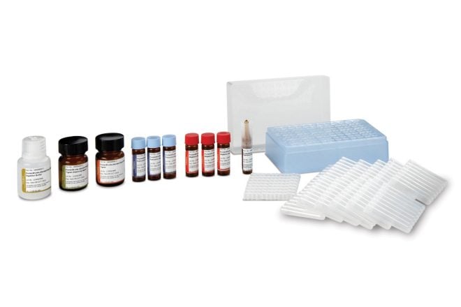 ProteinWorks eXpress Digest Start-up Kit