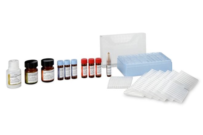 Shop ProteinWorks eXpress Direct Digest Kit | 176003688 | Waters