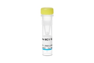 RapiZyme MC1 is an endoribonuclease with a 5’ end uridine specificity (186011192).    