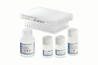OligoWorks SPE kits are optimized for efficient oligonucleotide extraction from biomatrices and sensitive, repeatable quantitative LC-MS performance across a diverse range of oligonucleotide therapeutics.  