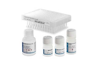 OligoWorks SPE Microplate Kit