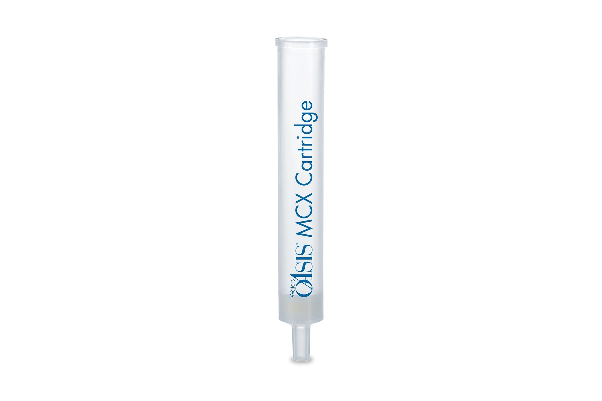 洋楽 anesthesy 186001882-1.jpg