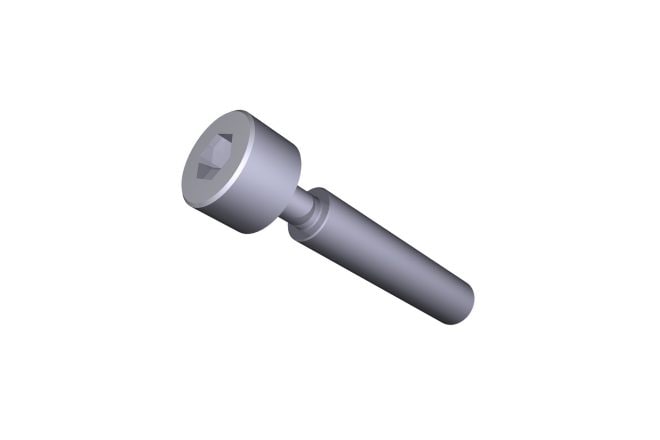 Screw, M8 x 45, Cap Hd, SS