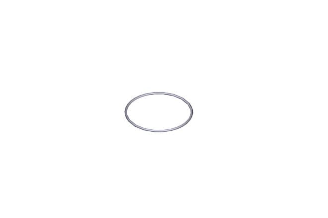O-Ring, FKM, 28 x 1 mm