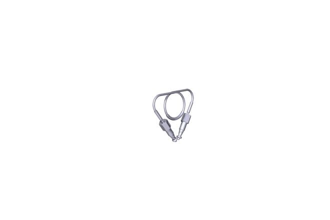 Sample Loop, 5 muL