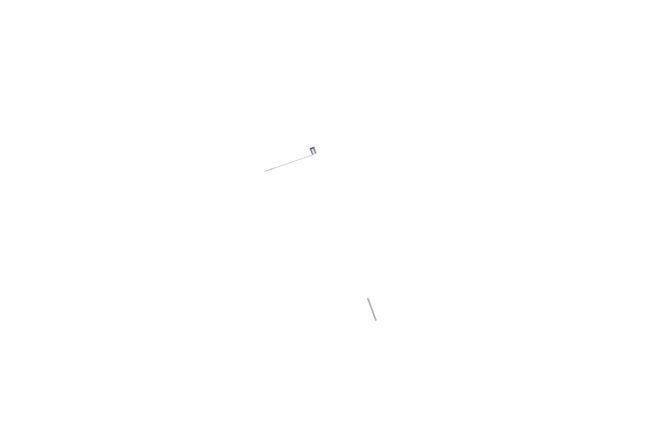 Seat Port Assembly, .004 ID, Bio