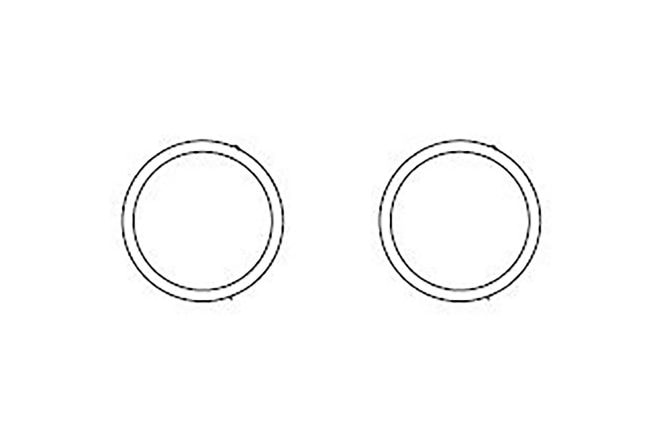 O-Ring, 19 mm ID Prep Guard Holder, 2/pk