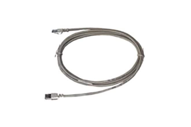 Ethernet Patch Cord, 25ft.