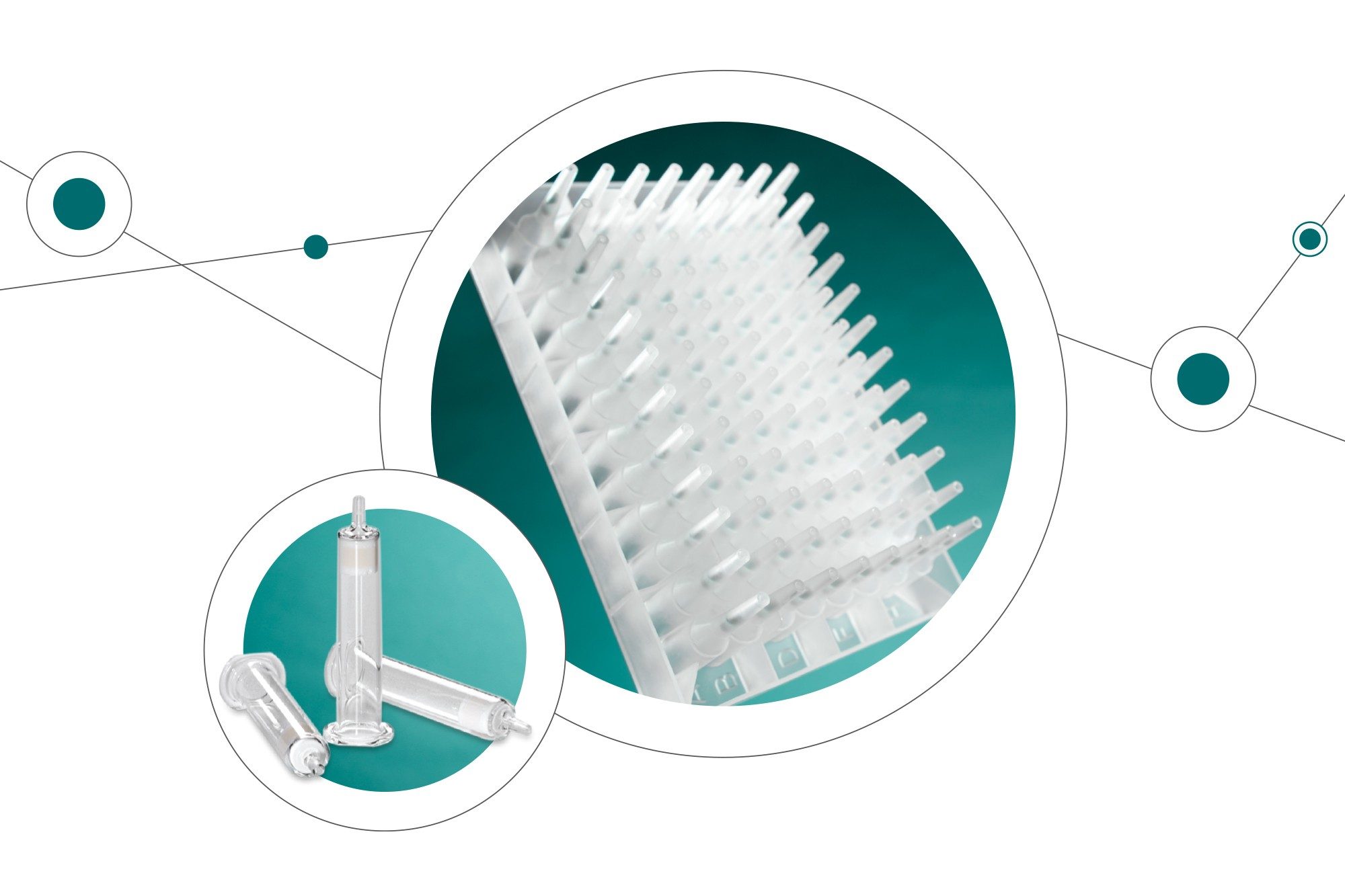 SPE Plate and Cartridges in teal circular design