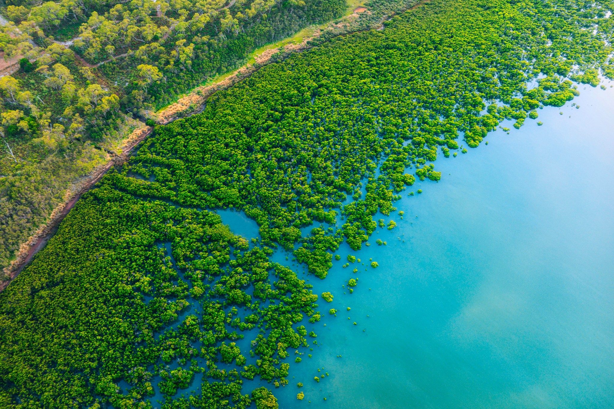 Vue aérienne d’un bayou à Blind Bight, Victoria, Australie