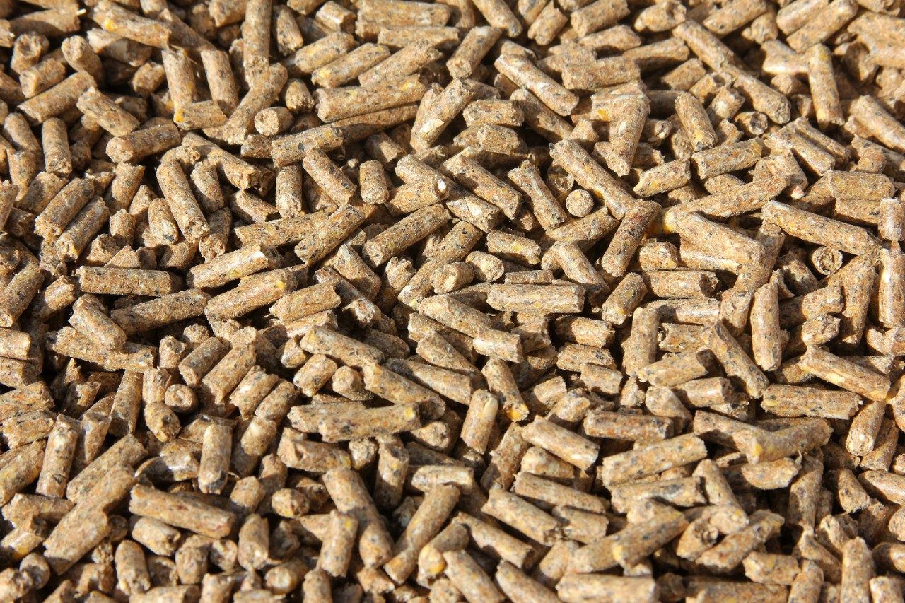 Animal feed closeup