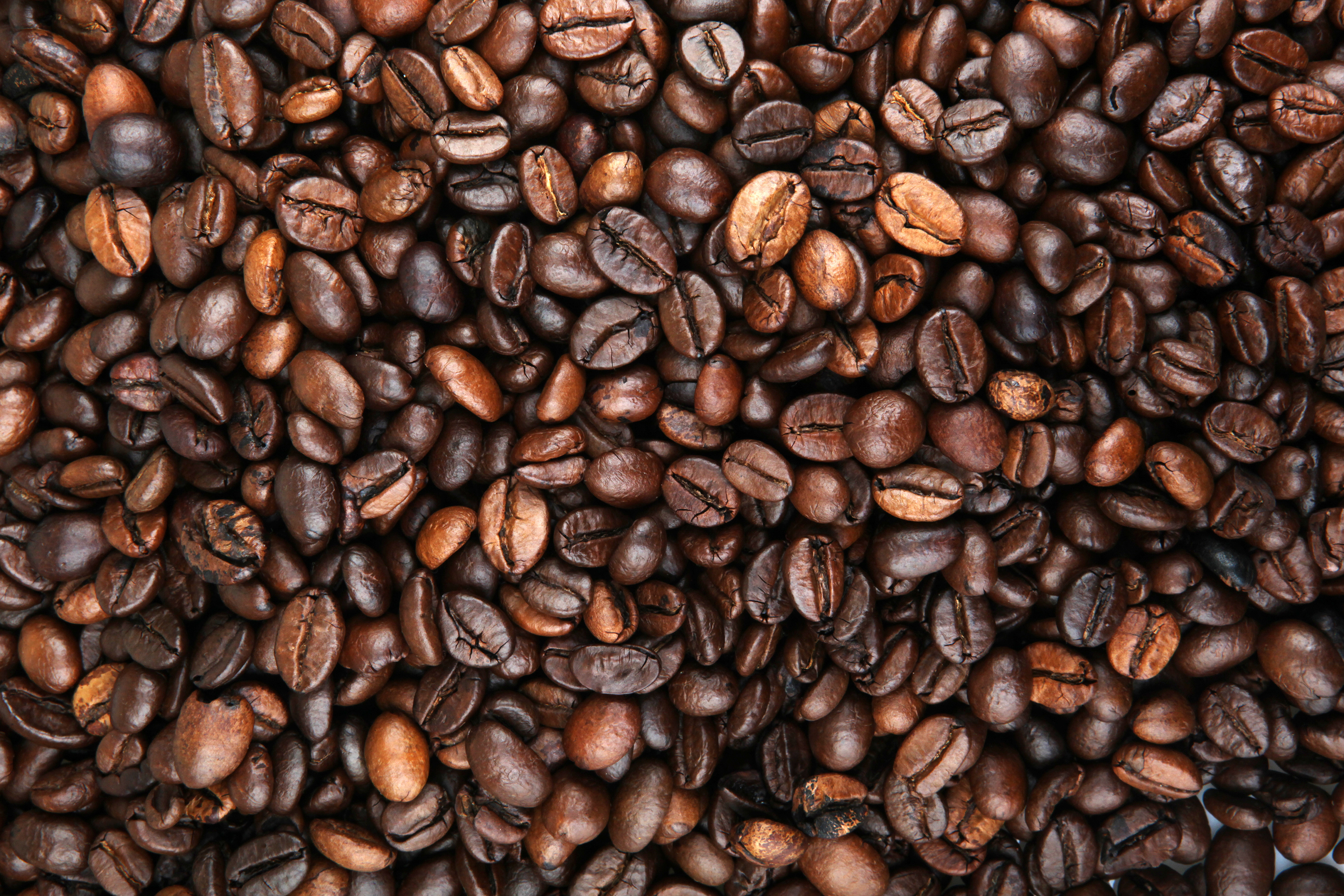 Coffee beans in a pile