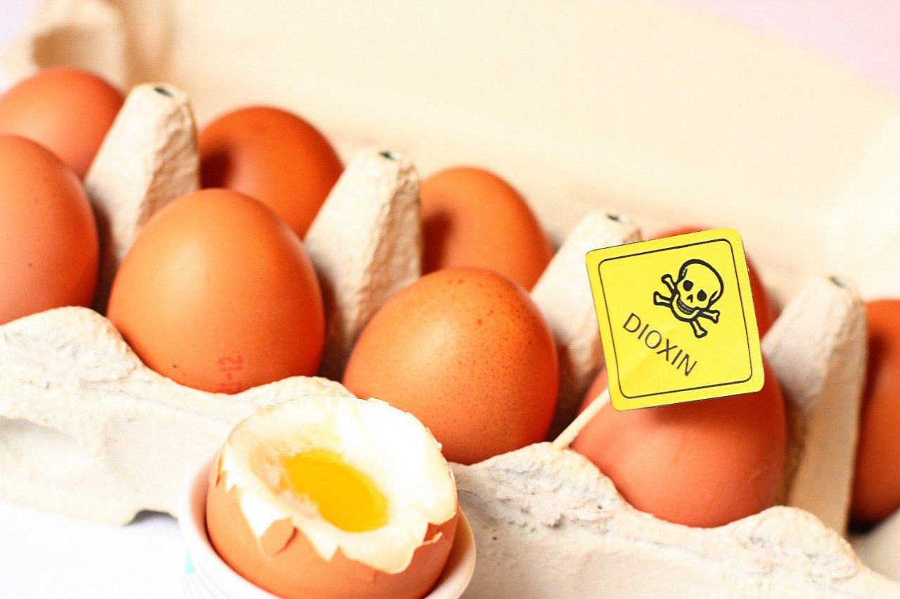 Dioxins in food; toxic eggs