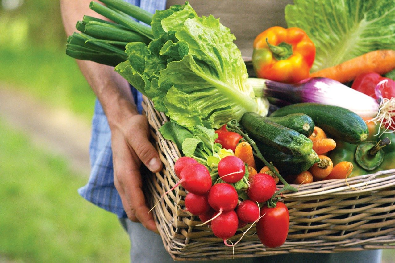 Farmer holding fresh vegetables in a basket