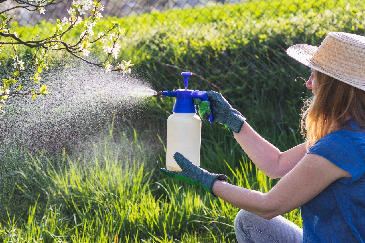 Woman with gloves spraying herbicide
