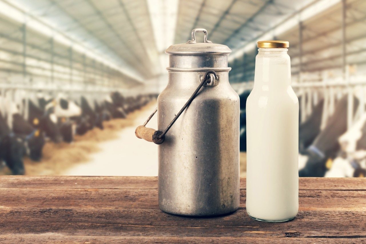 Fresh milk bottle and can on table in cowshed