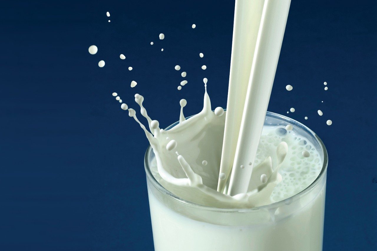 Milk splashing out of glass on blue background
