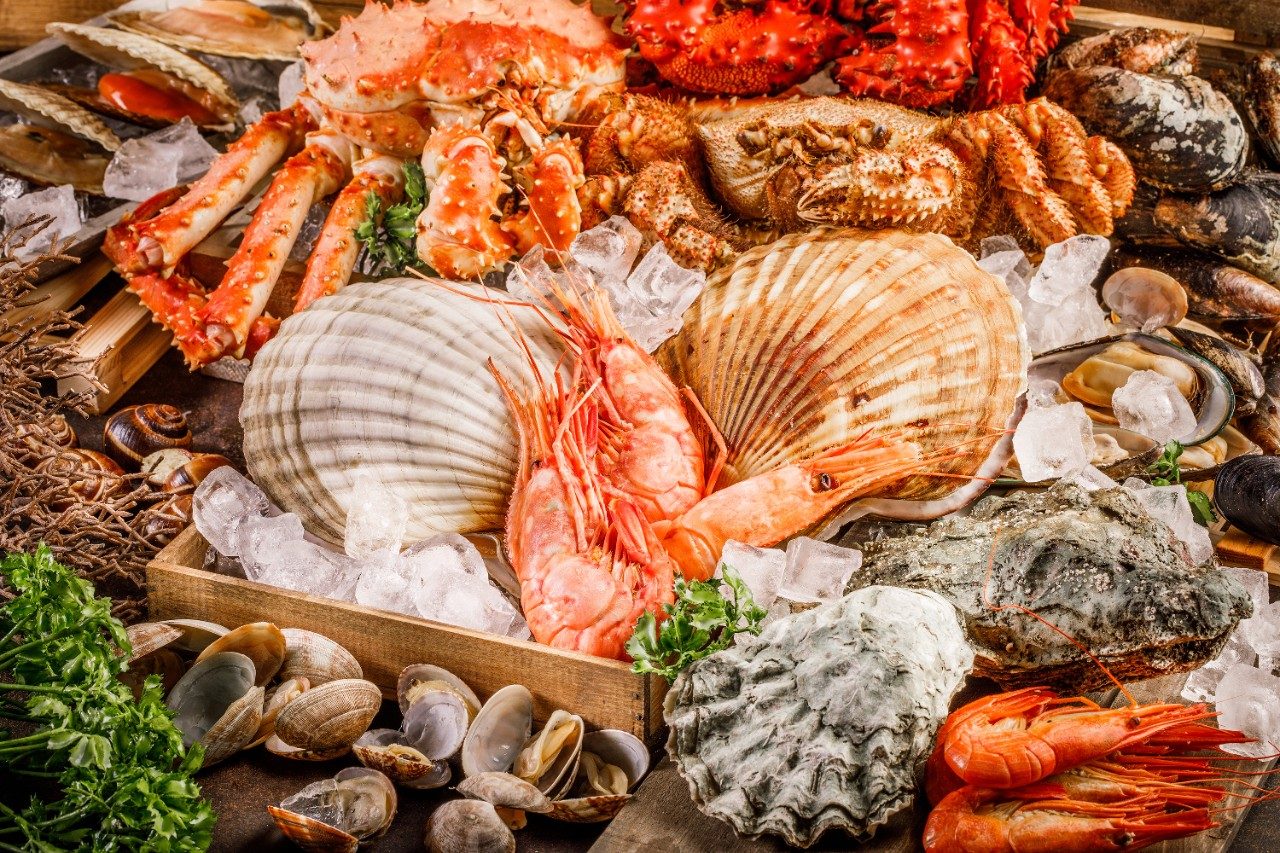 Seafood cuisine
