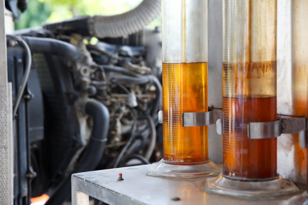 Oil palm biofuel biodiesel in tubes