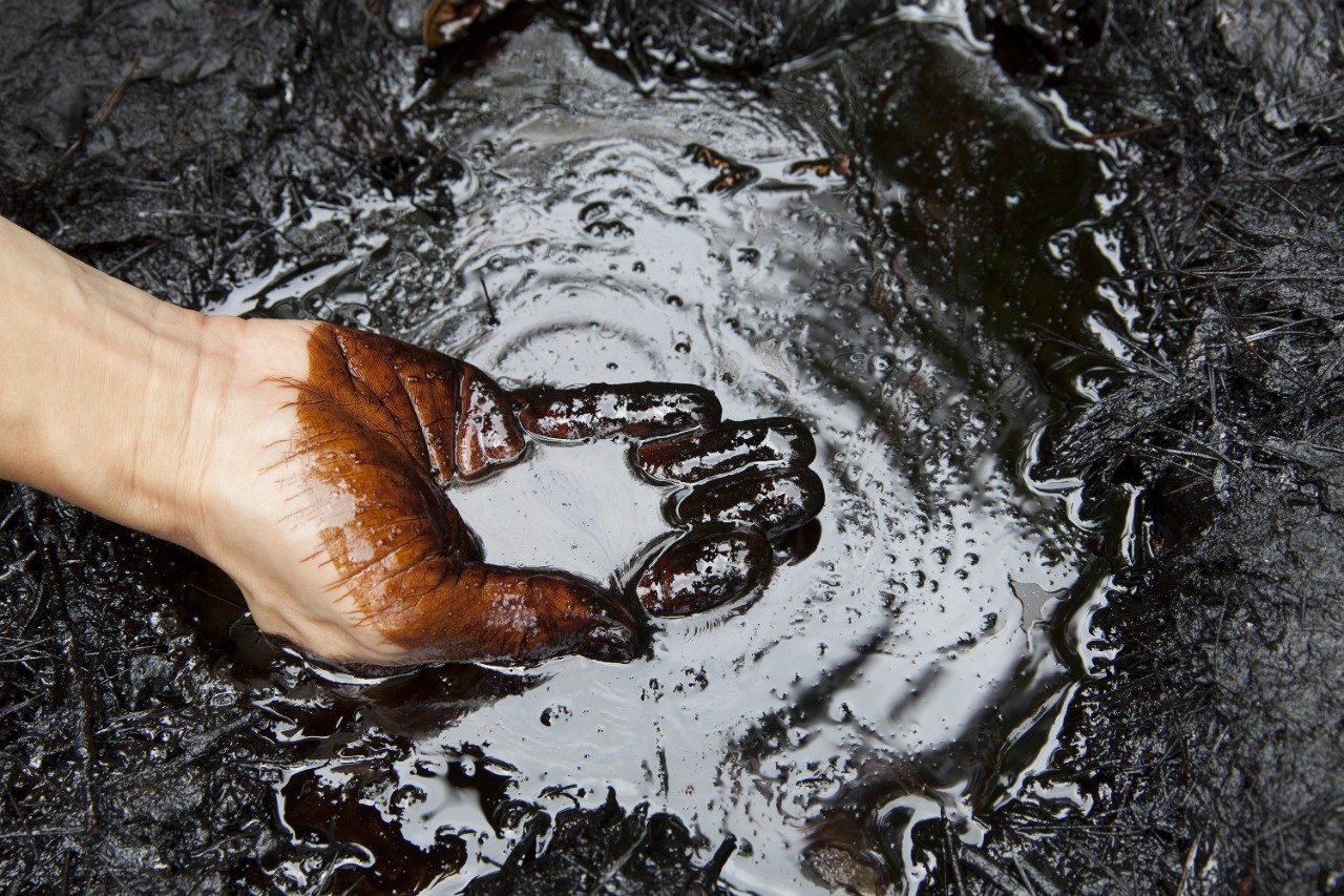Crude oil pollution
