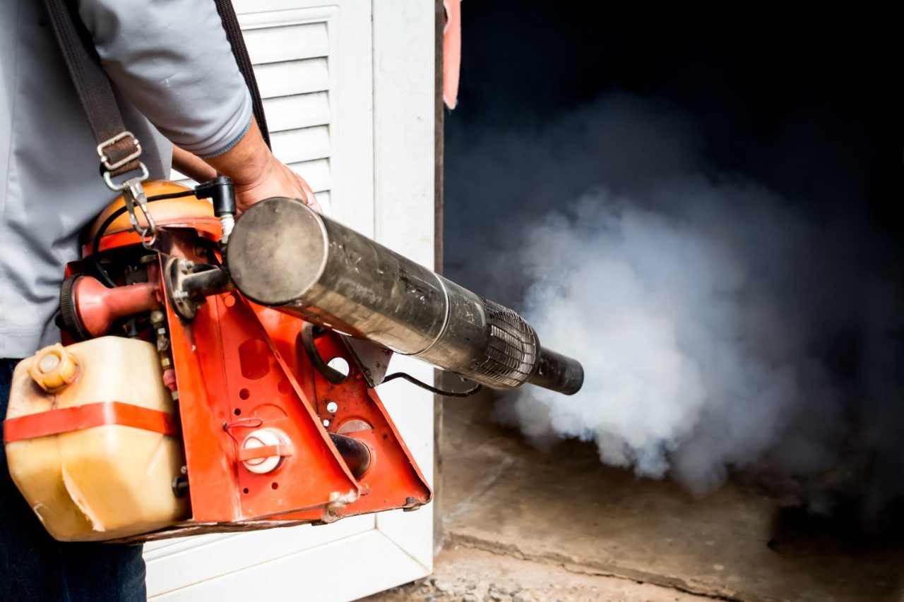 Fumigation mosquitoes with insecticide