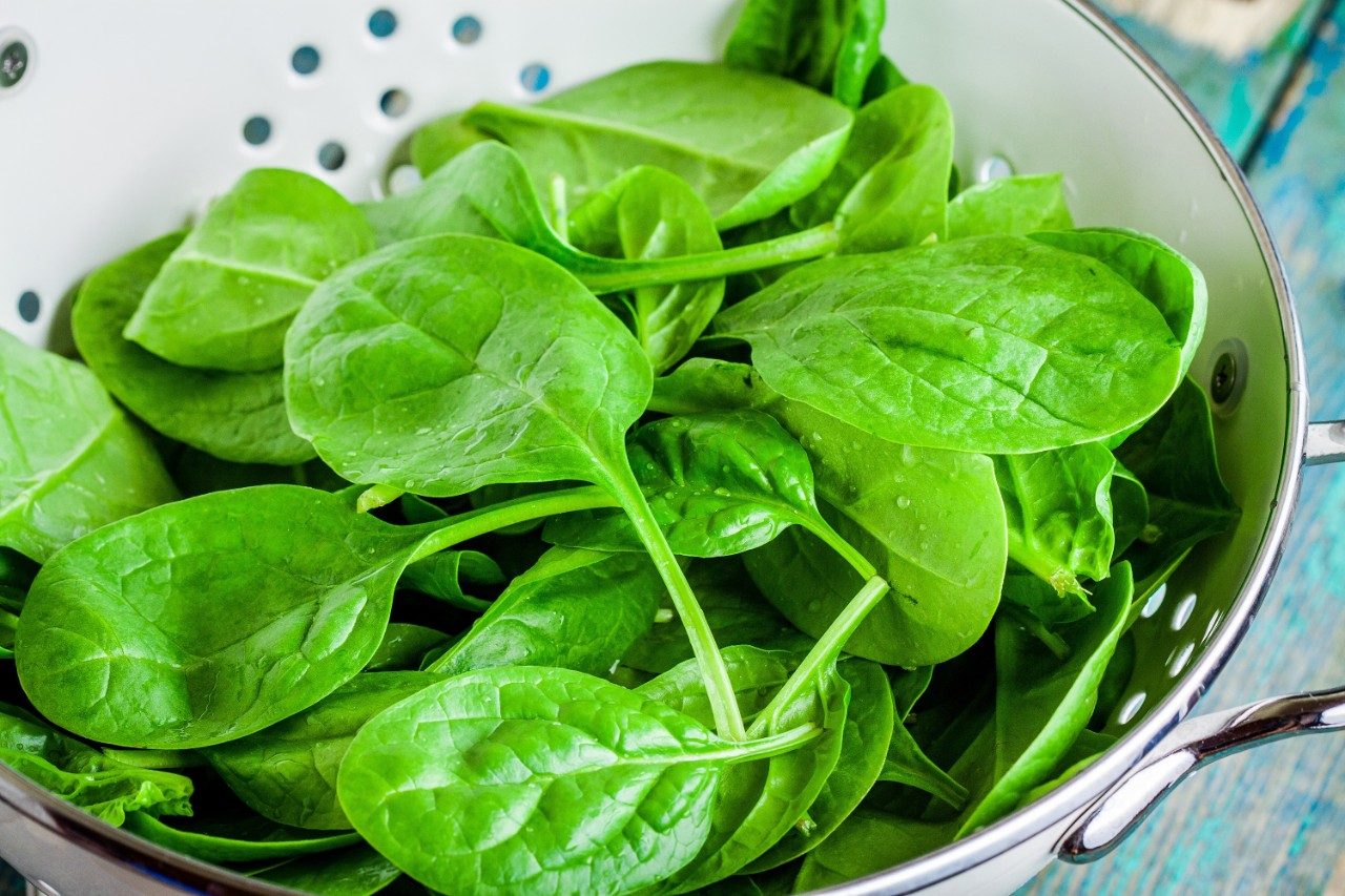 Raw fresh spinach in a colander