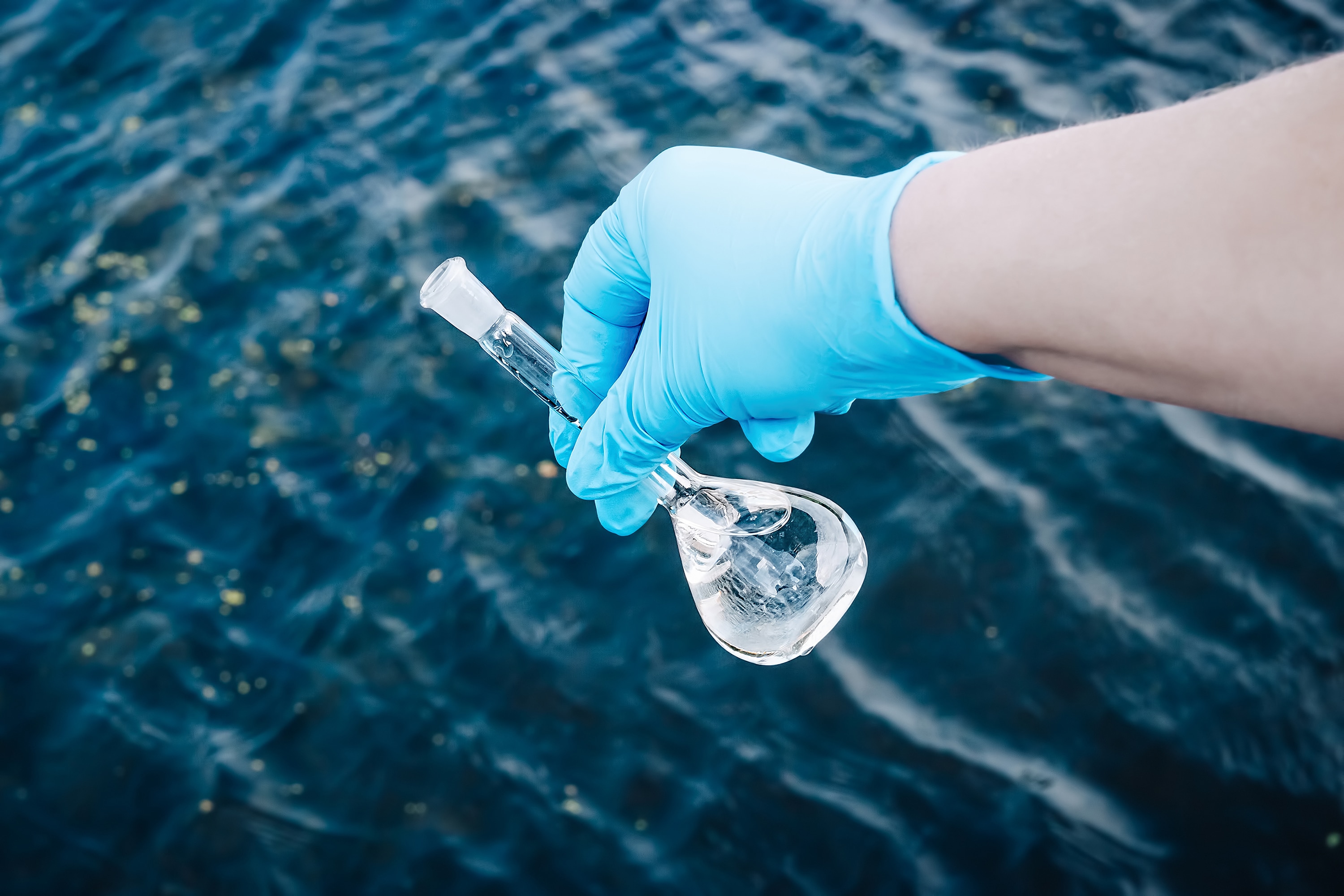 Phenols in Drinking Water Waters