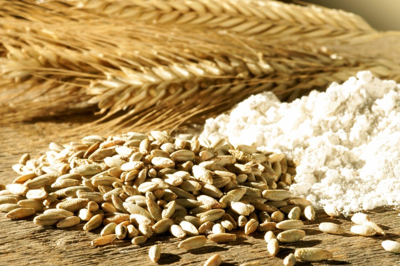 A Labelfree, Dataindependent Approach to Defining the Gluten Proteome