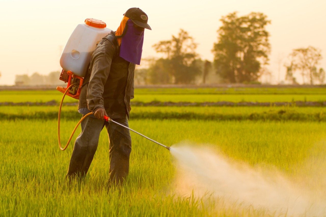 Farmer spraying pesticide fungicide